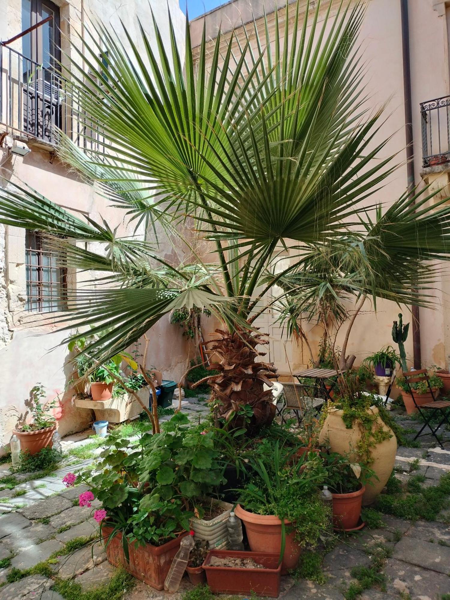 Ferienwohnung Casa La Palma Di Ortigia Syrakus Exterior foto